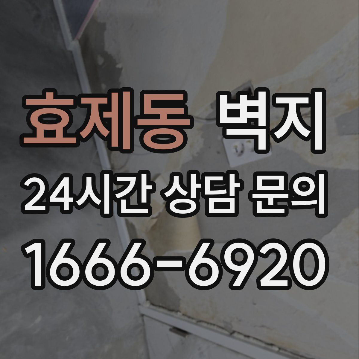 효제동 벽지
