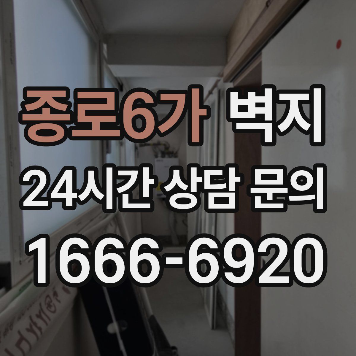 종로6가 벽지