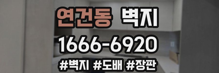 연건동 벽지