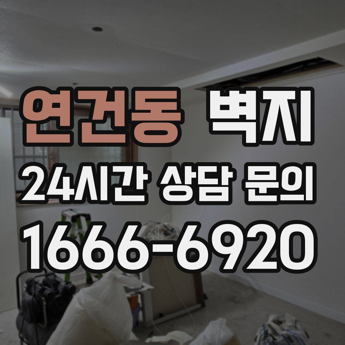 연건동 벽지