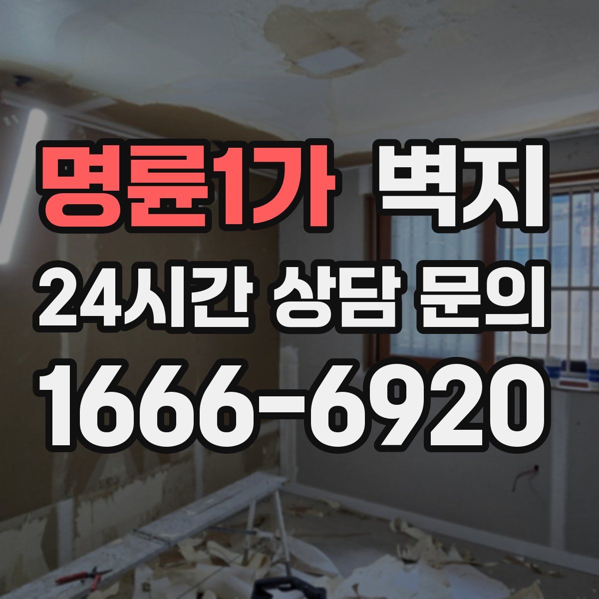 명륜1가 벽지