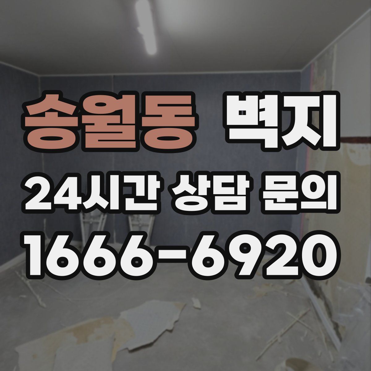 송월동 벽지