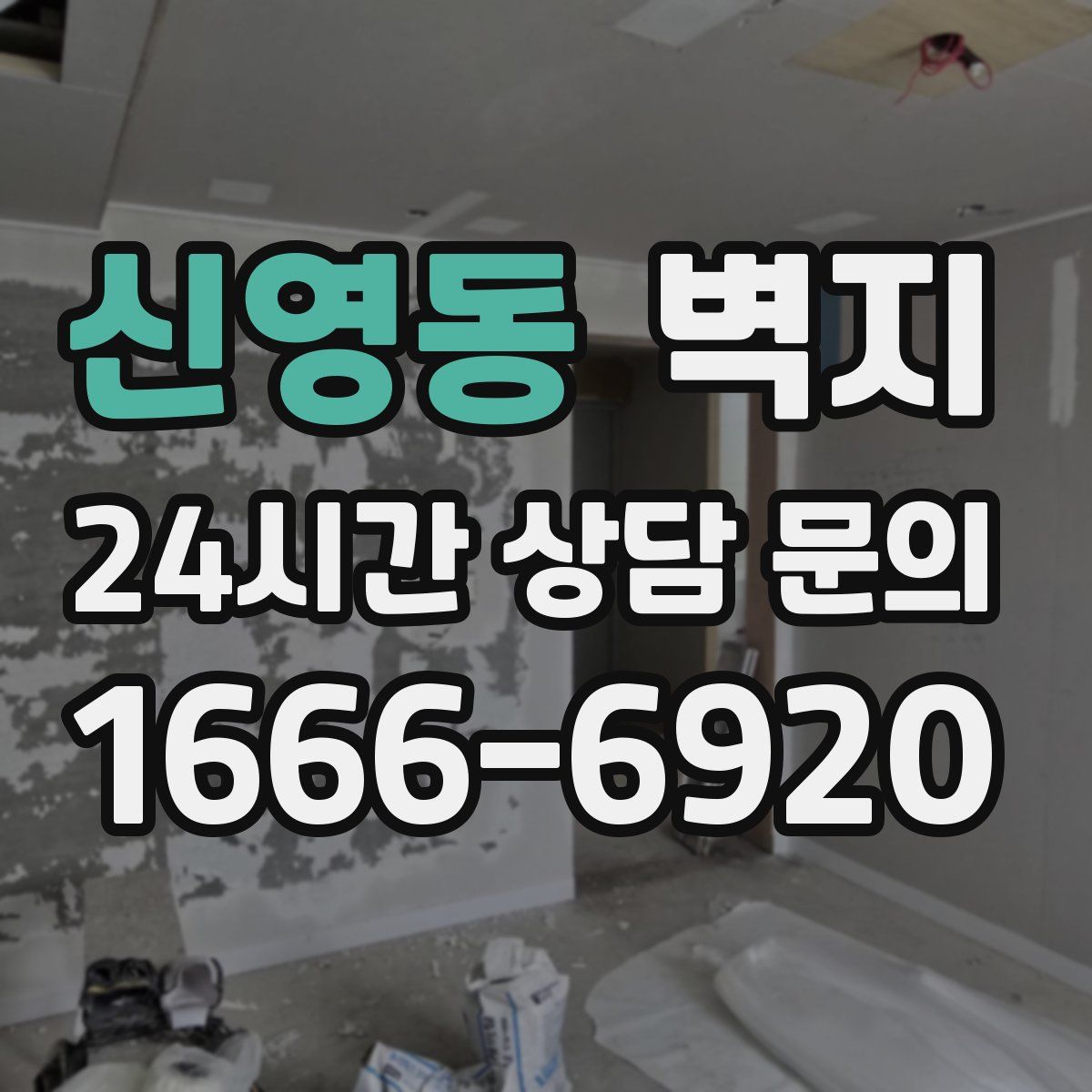신영동 벽지
