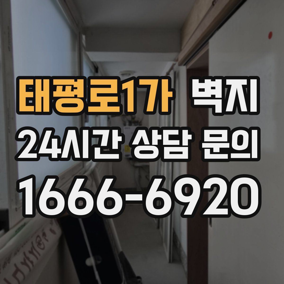 태평로1가 벽지