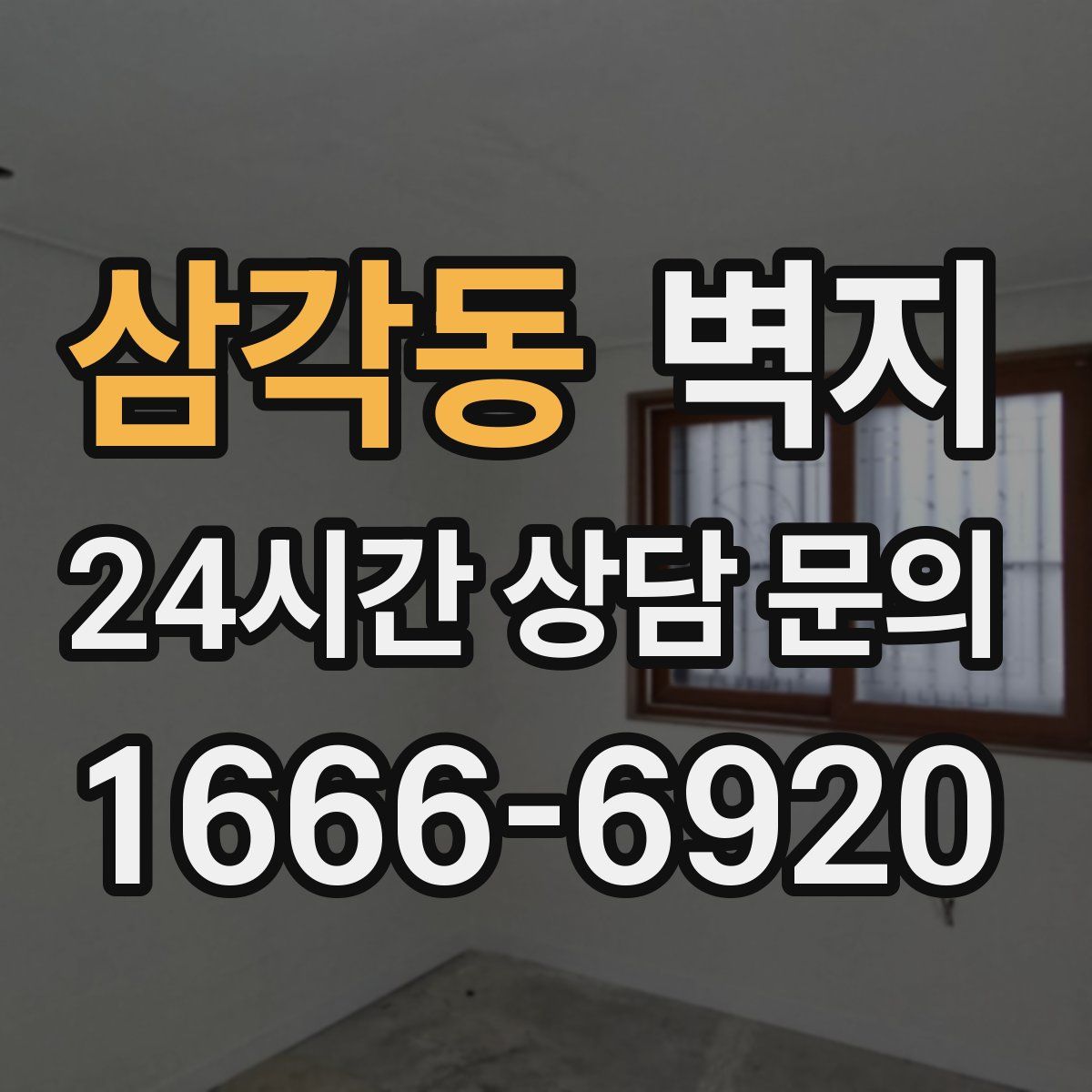 삼각동 벽지