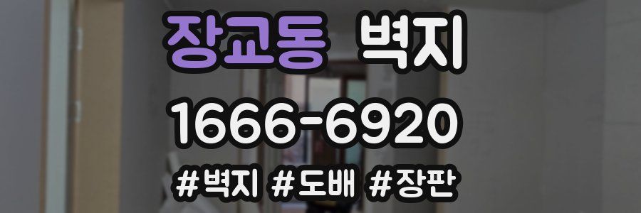 장교동 벽지