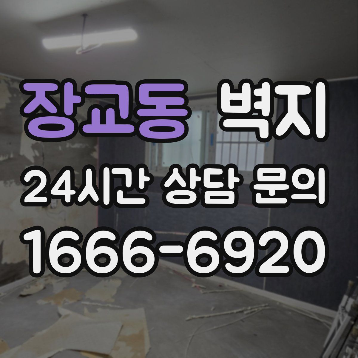 장교동 벽지
