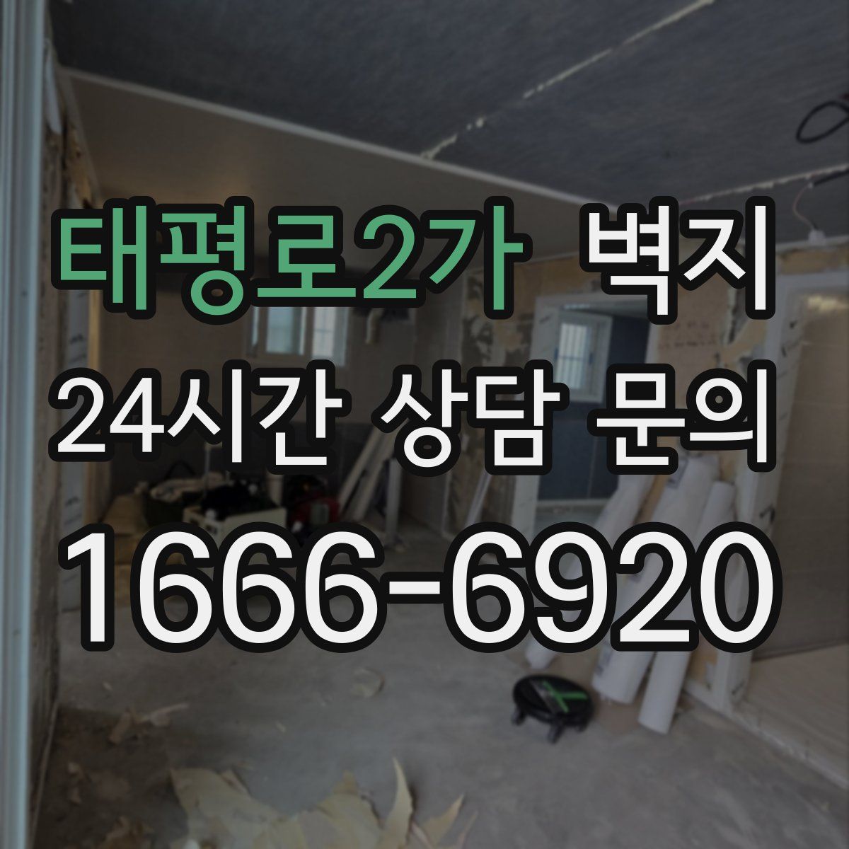 태평로2가 벽지