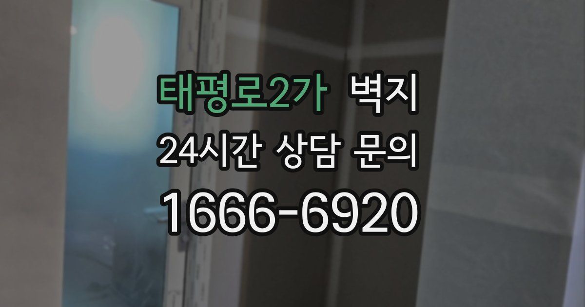 태평로2가 벽지