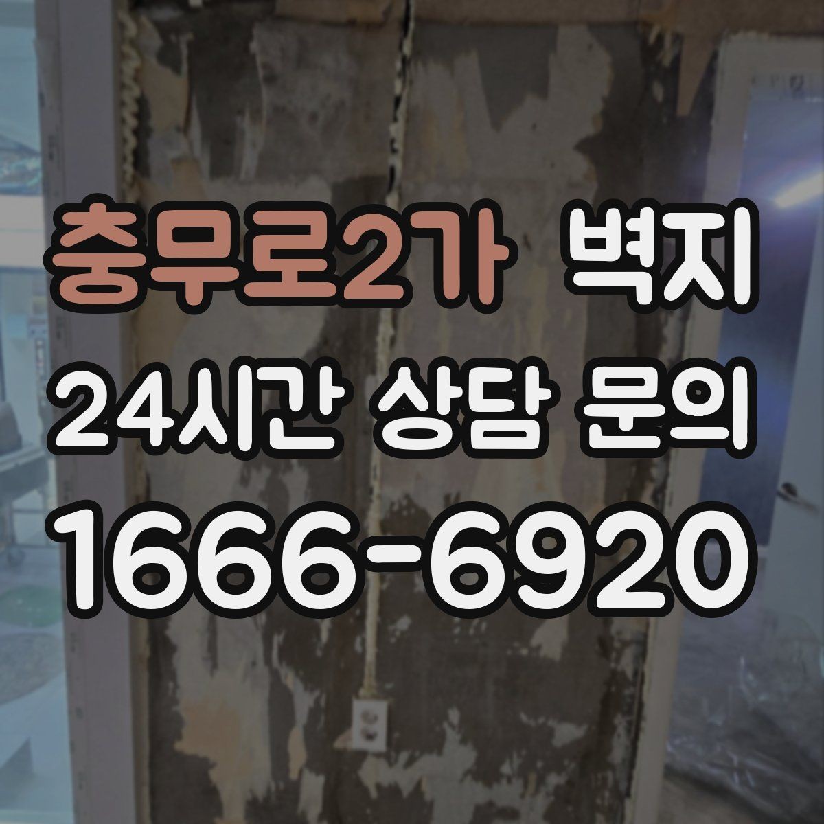 충무로2가 벽지 관리가 쉬운 재질을 찾는 방법