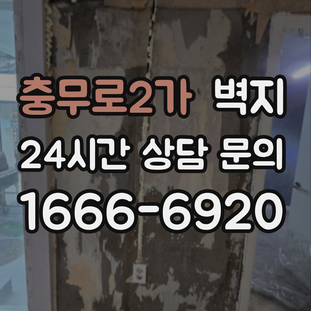 충무로2가 벽지