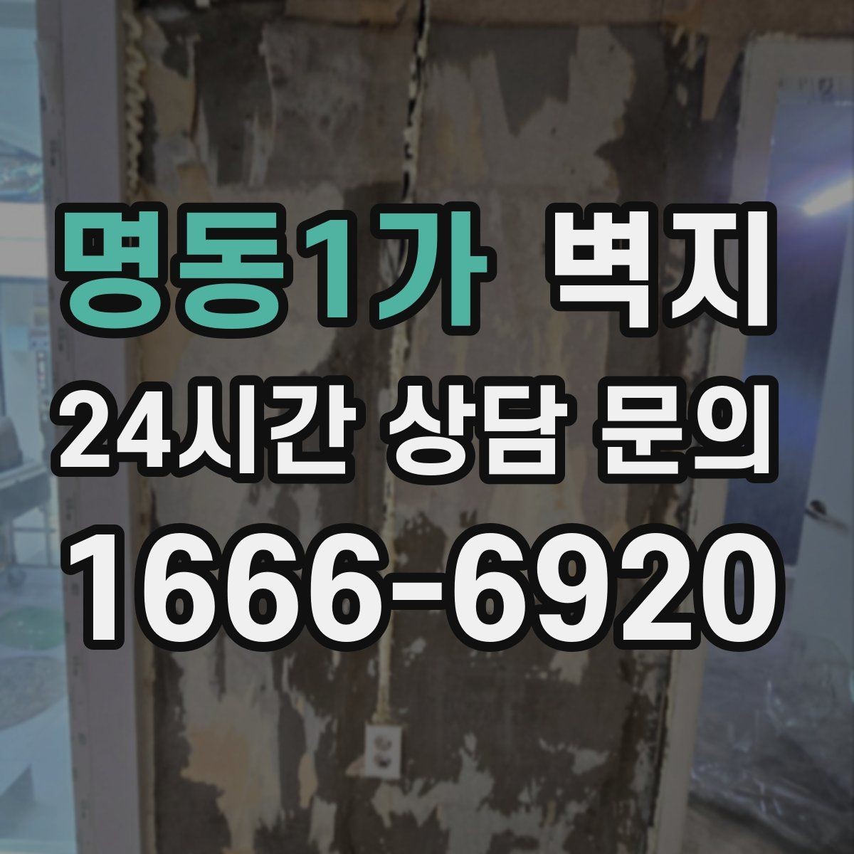 명동1가 벽지 마감 상태를 확인하는 방법