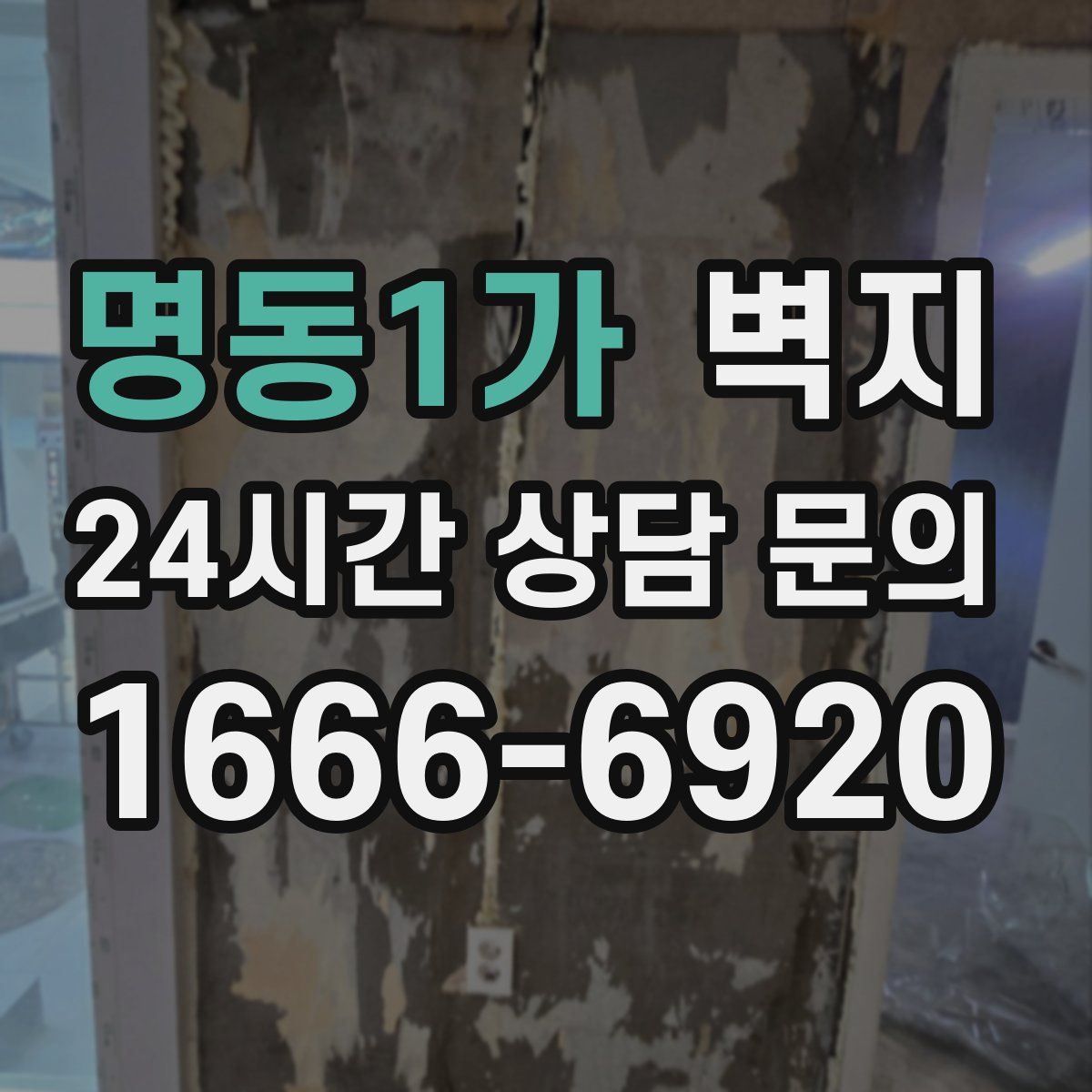명동1가 벽지
