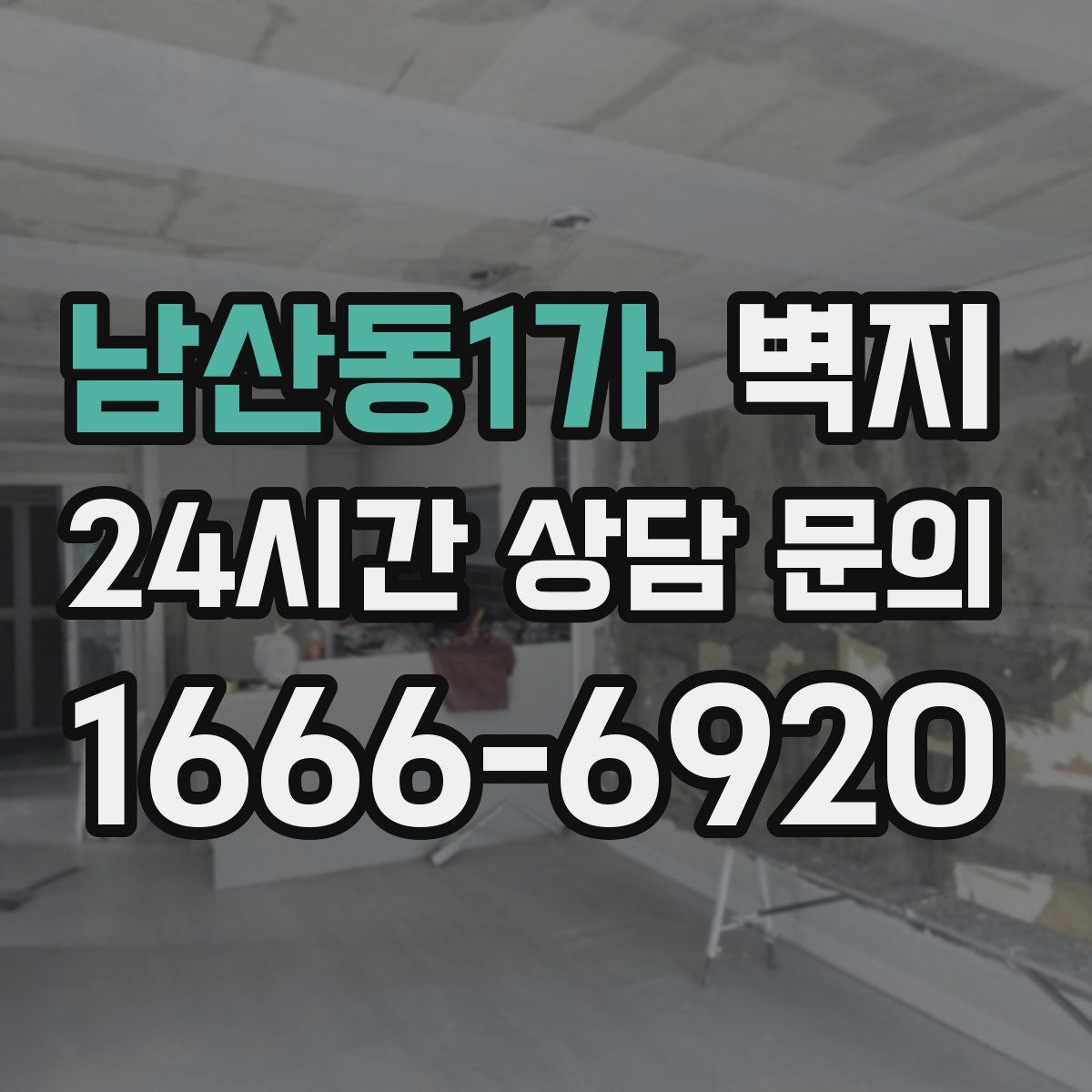 남산동1가 벽지