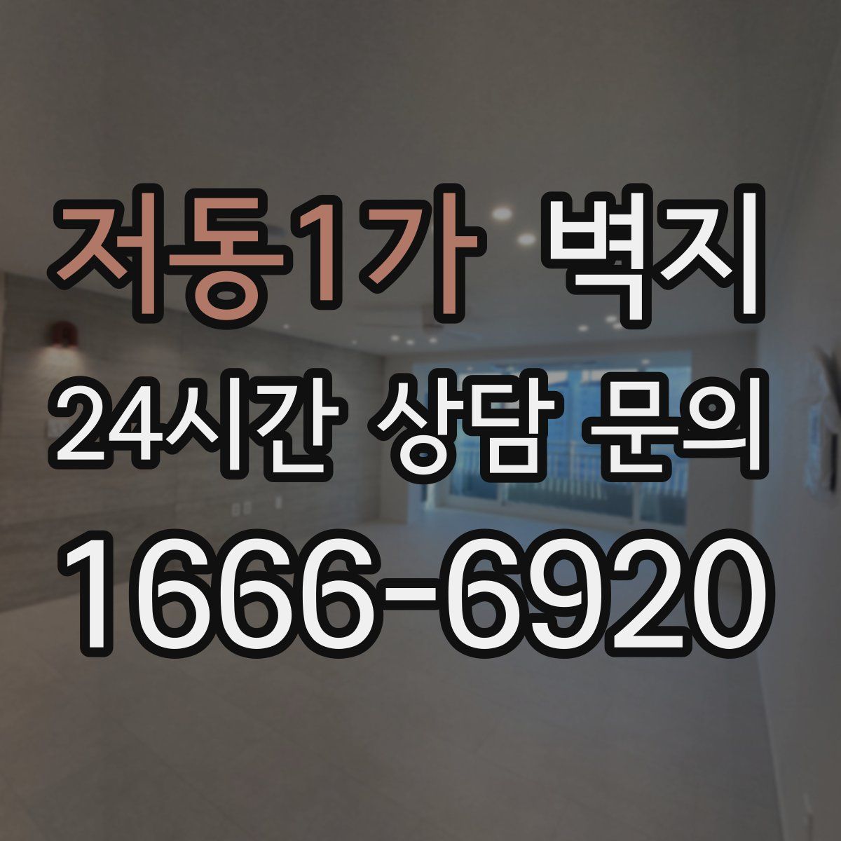 저동1가 벽지