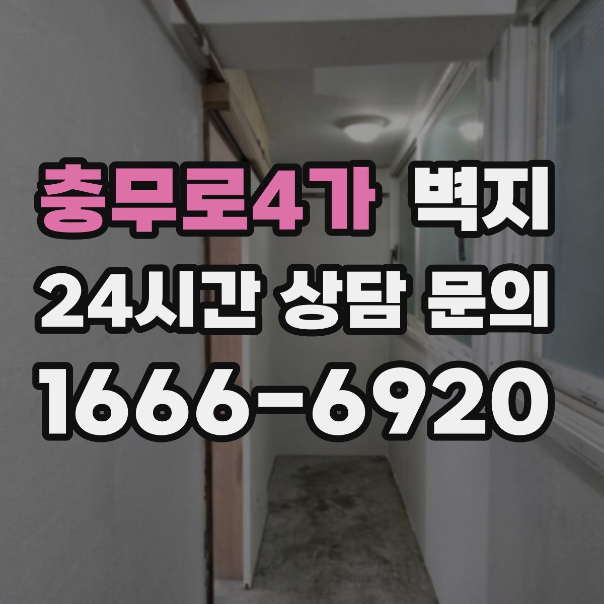 충무로4가 벽지