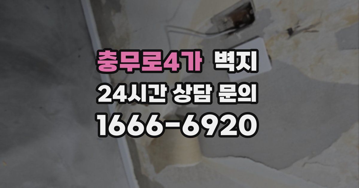 충무로4가 벽지
