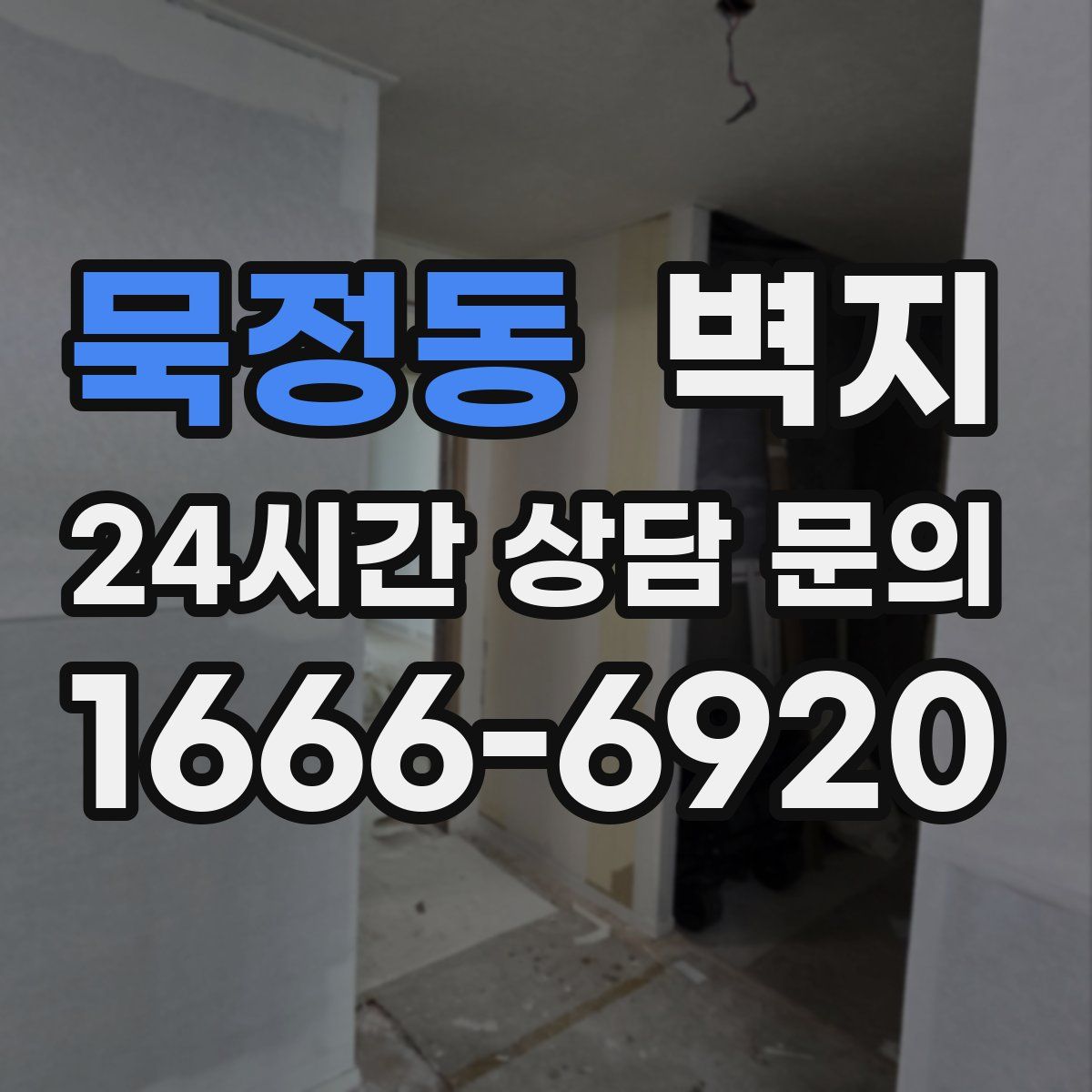묵정동 벽지