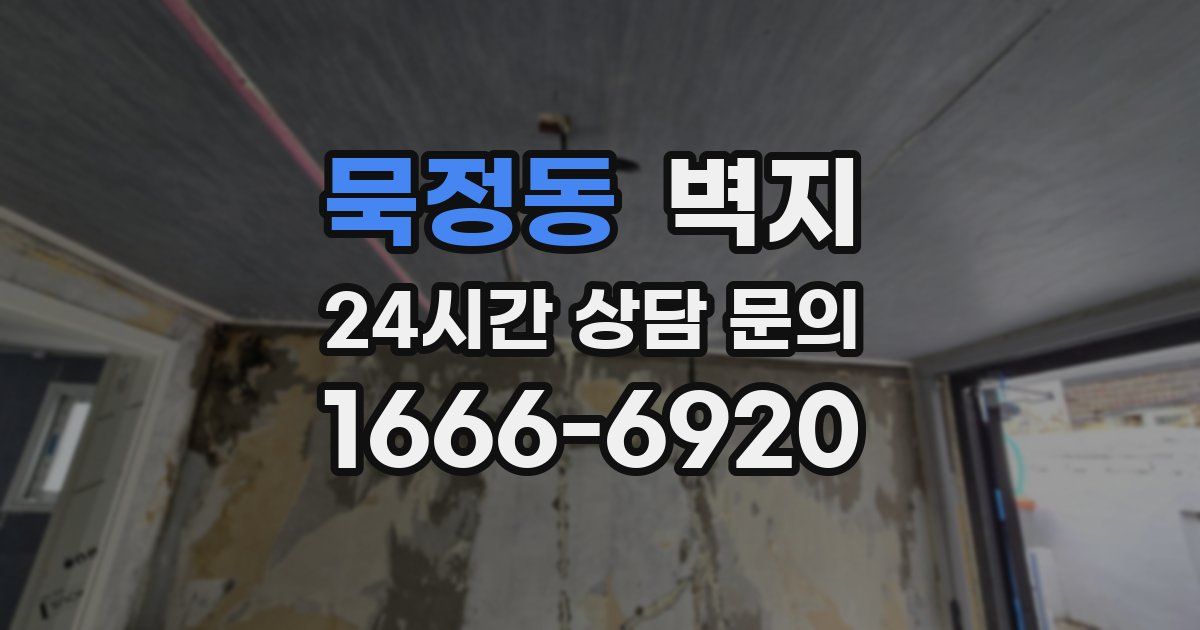 묵정동 벽지