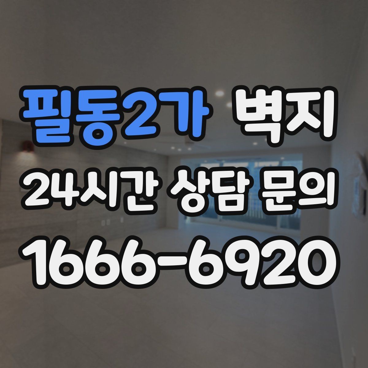 필동2가 벽지 디자인과 실용성을 함께 보는 법