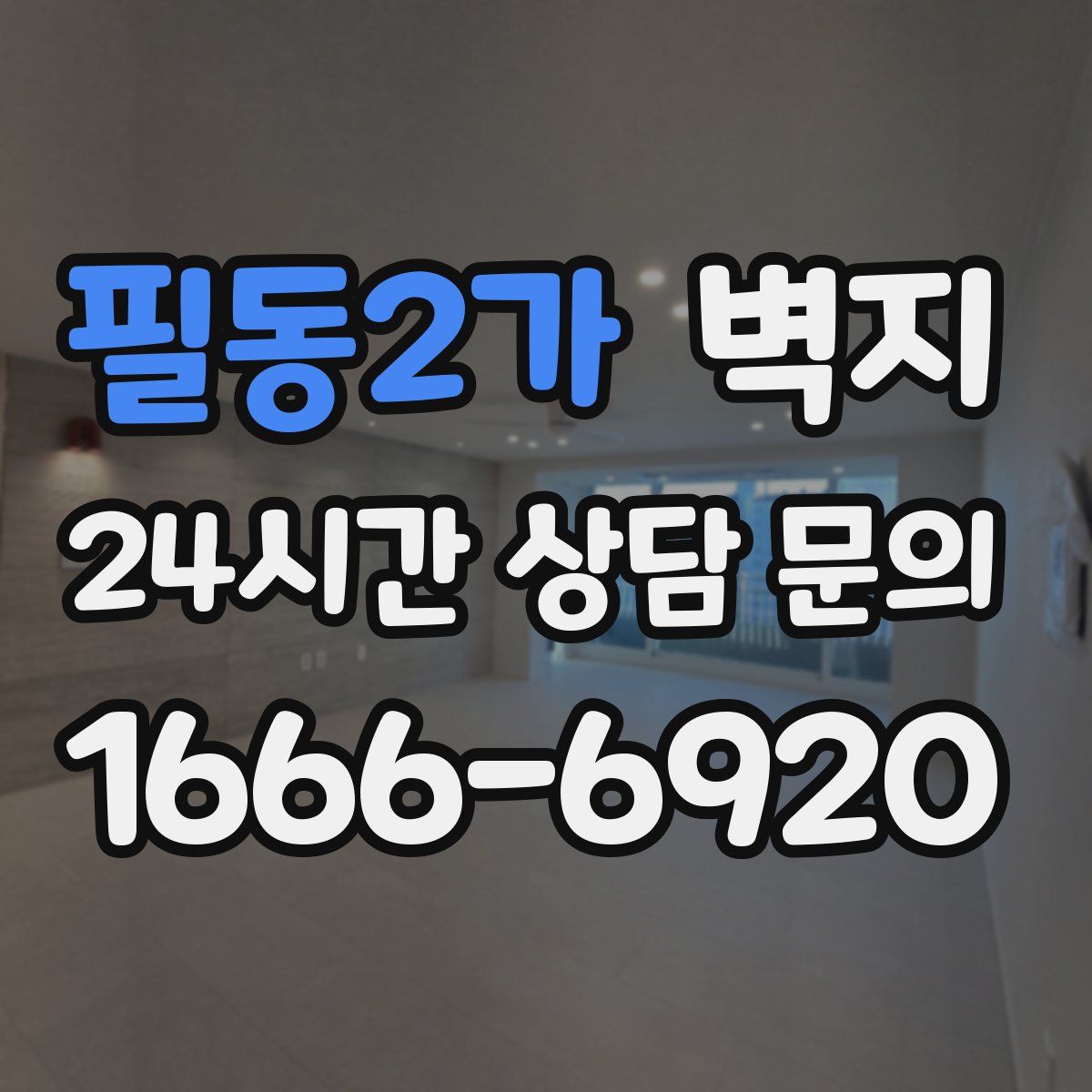 필동2가 벽지