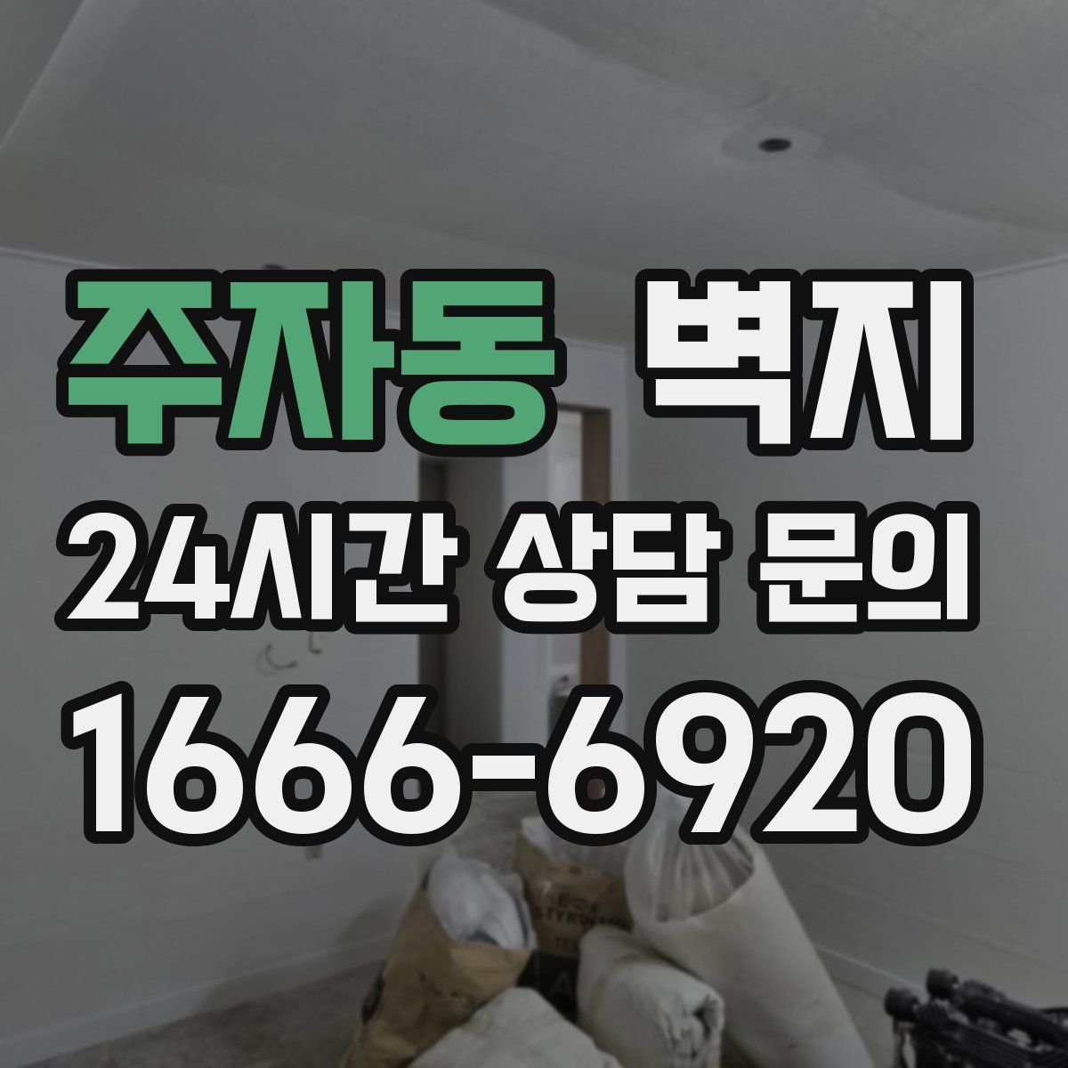 주자동 벽지