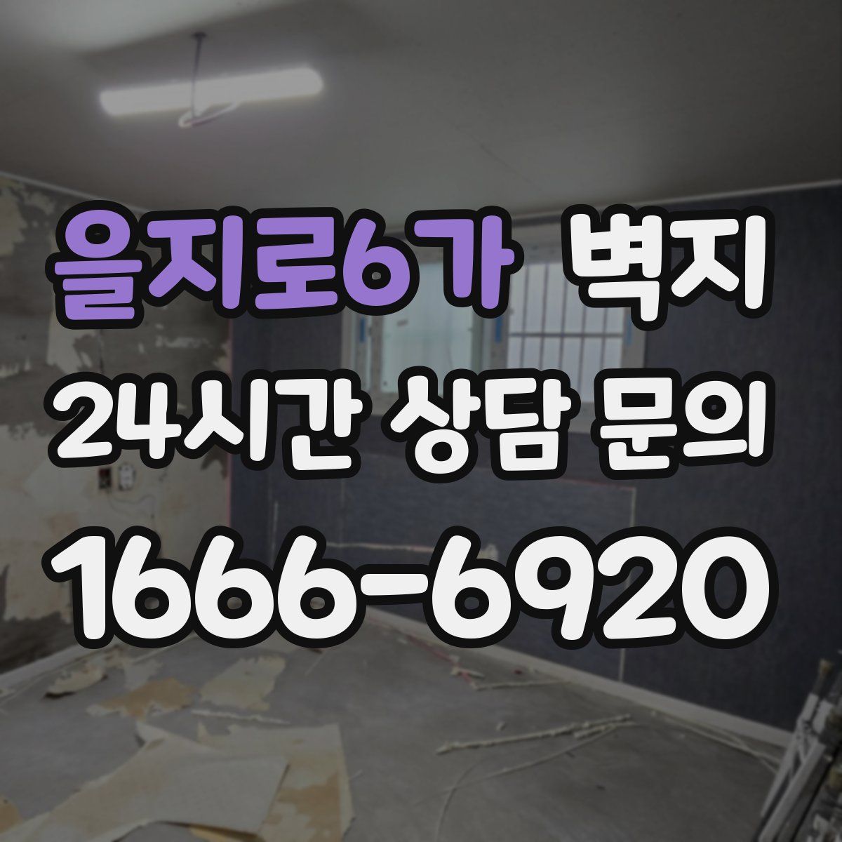 을지로6가 벽지