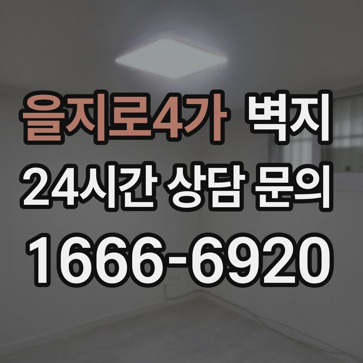 을지로4가 벽지