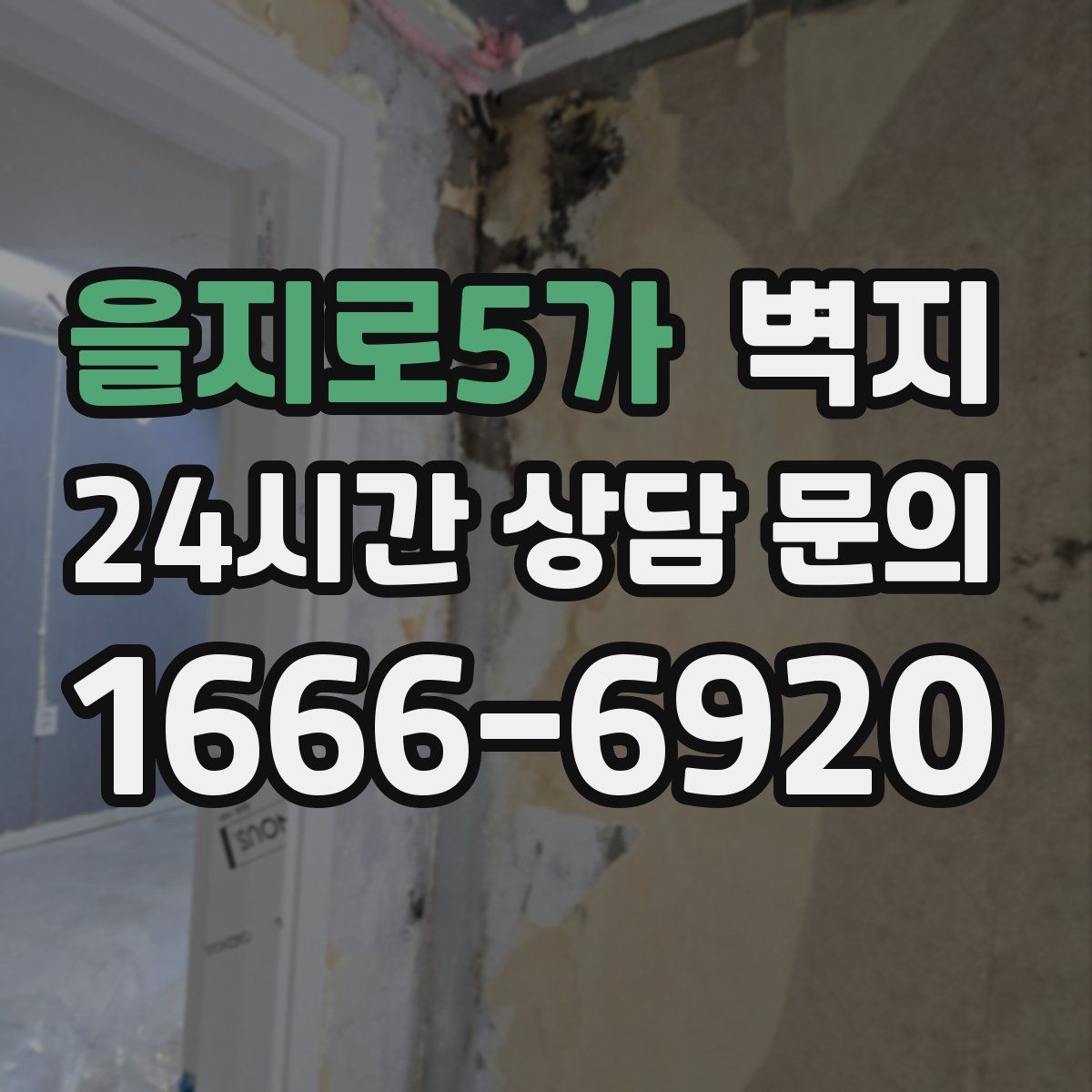 을지로5가 벽지