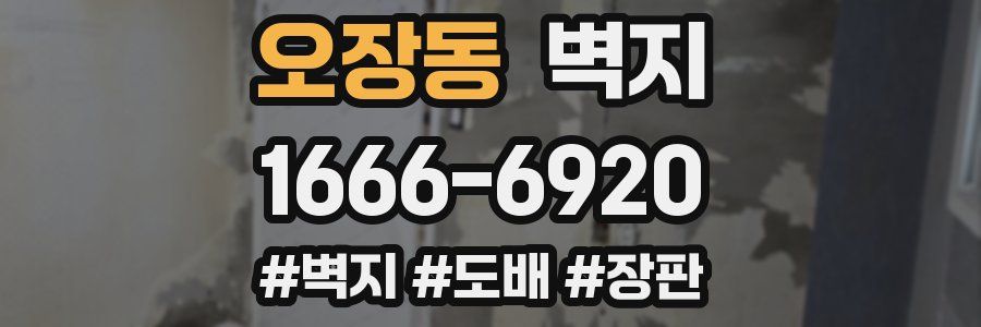 오장동 벽지
