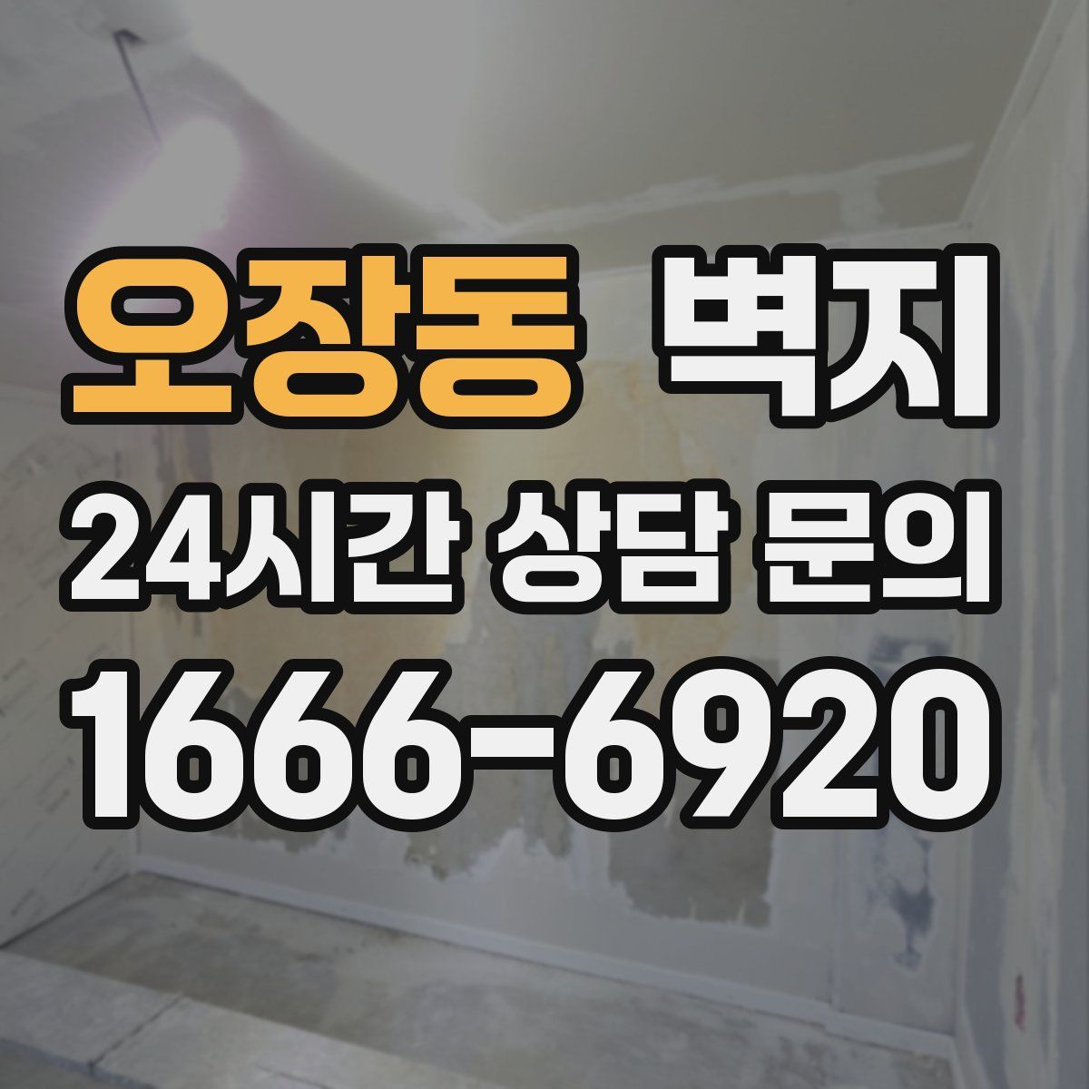오장동 벽지