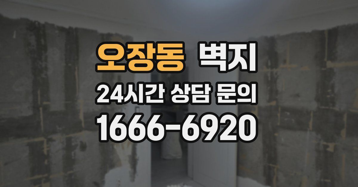 오장동 벽지
