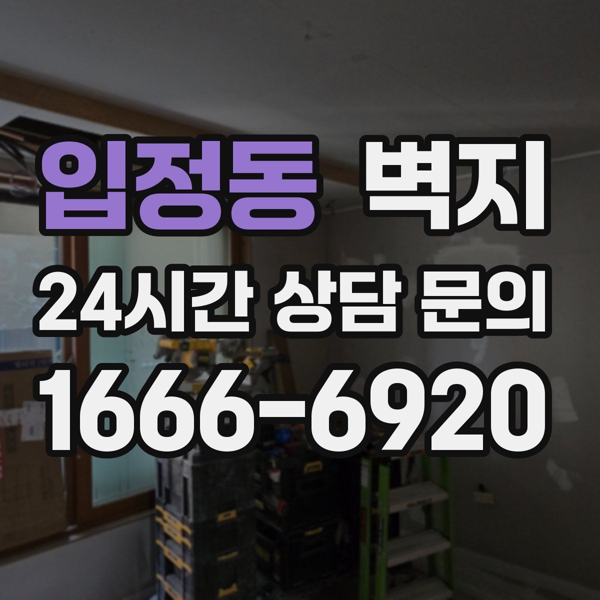 입정동 벽지