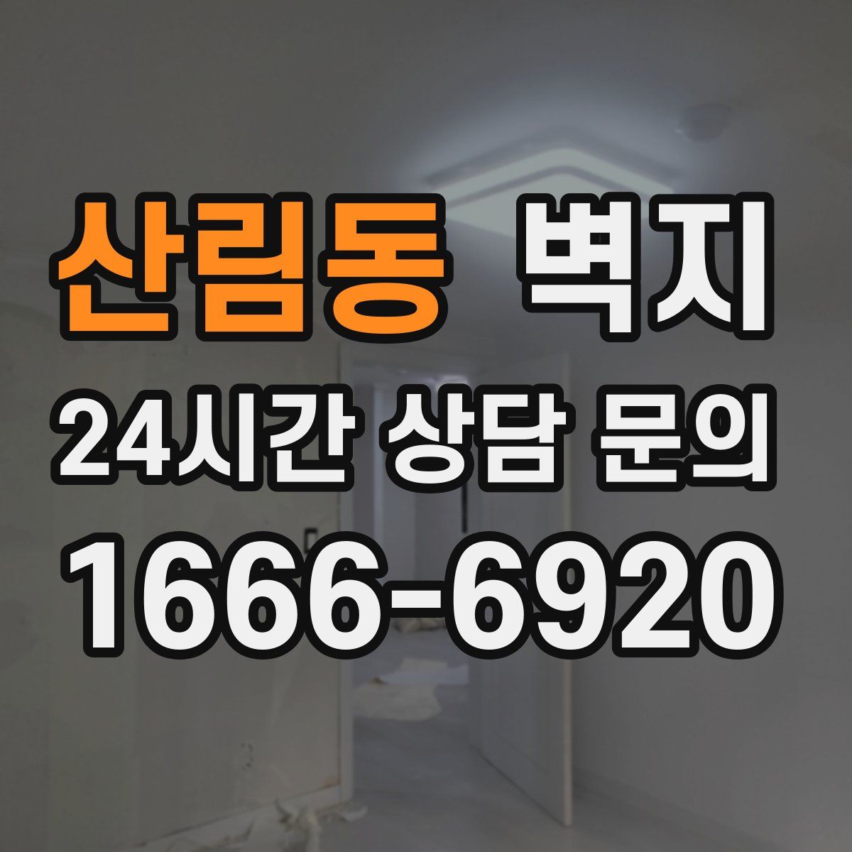 산림동 벽지