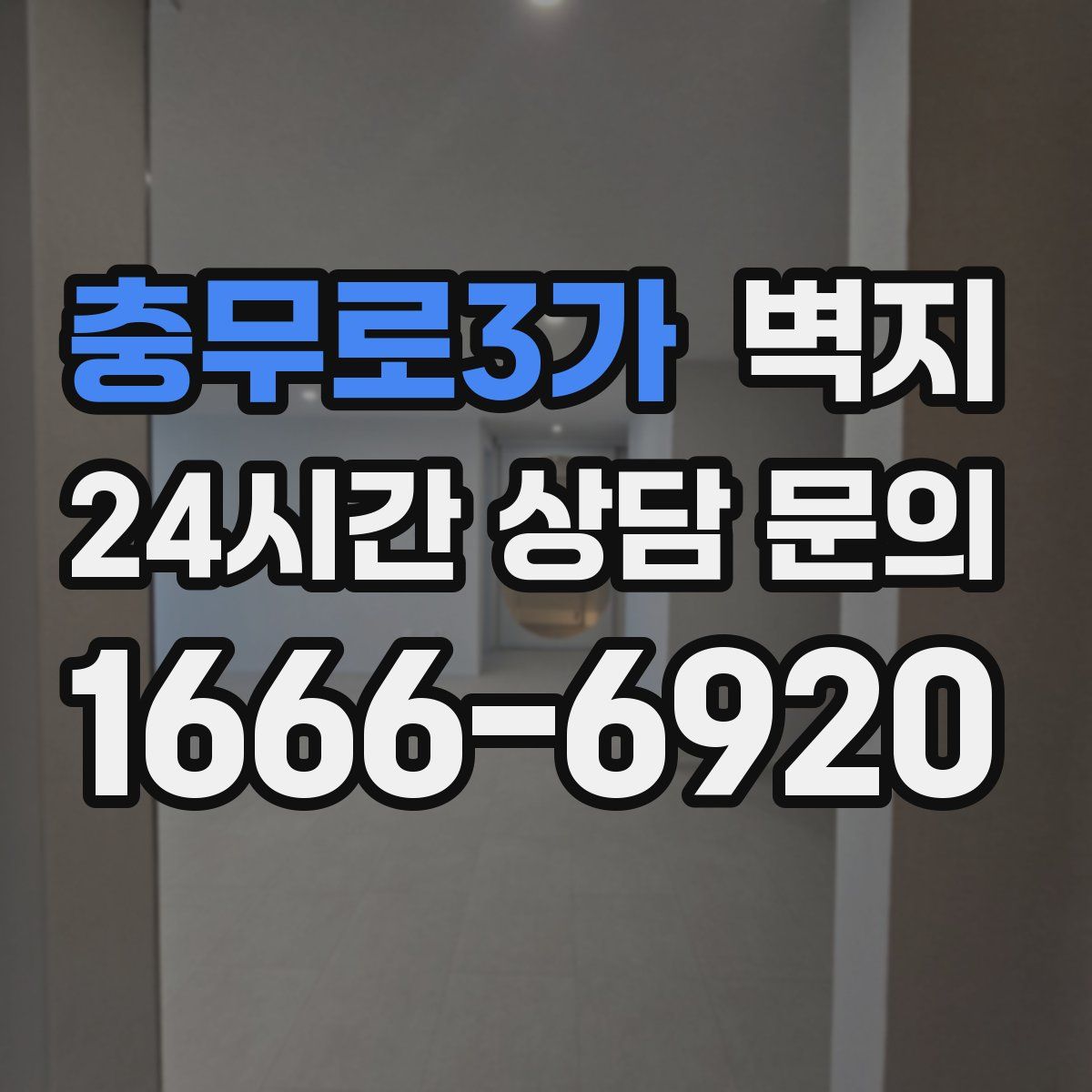 충무로3가 벽지