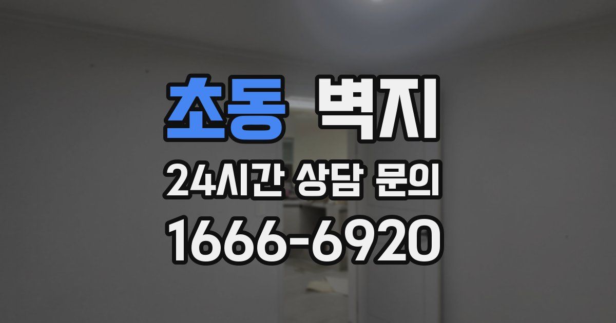 초동 벽지