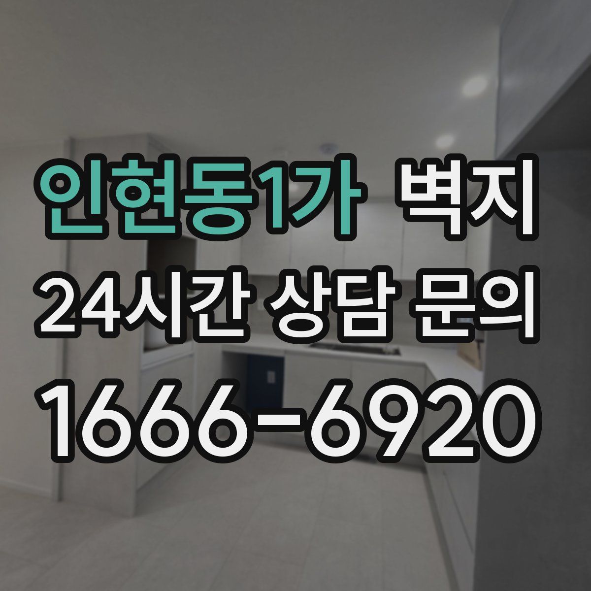 인현동1가 벽지