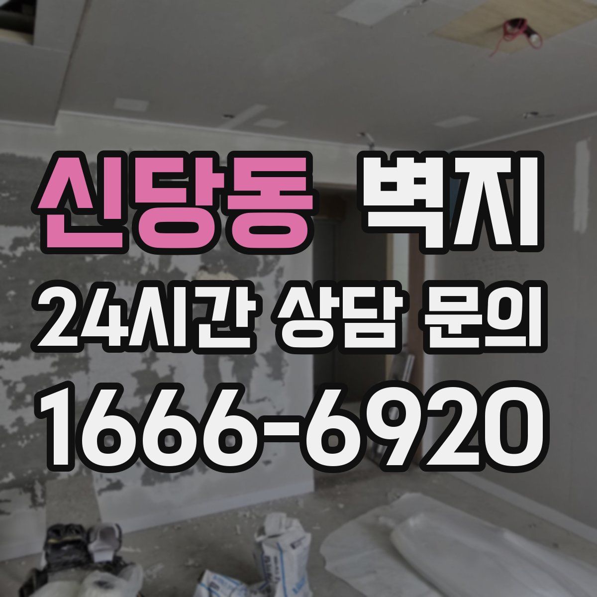 신당동 벽지