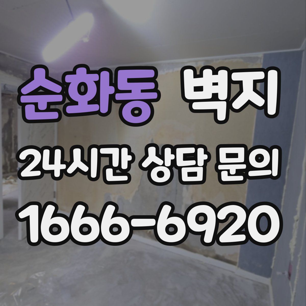 순화동 벽지