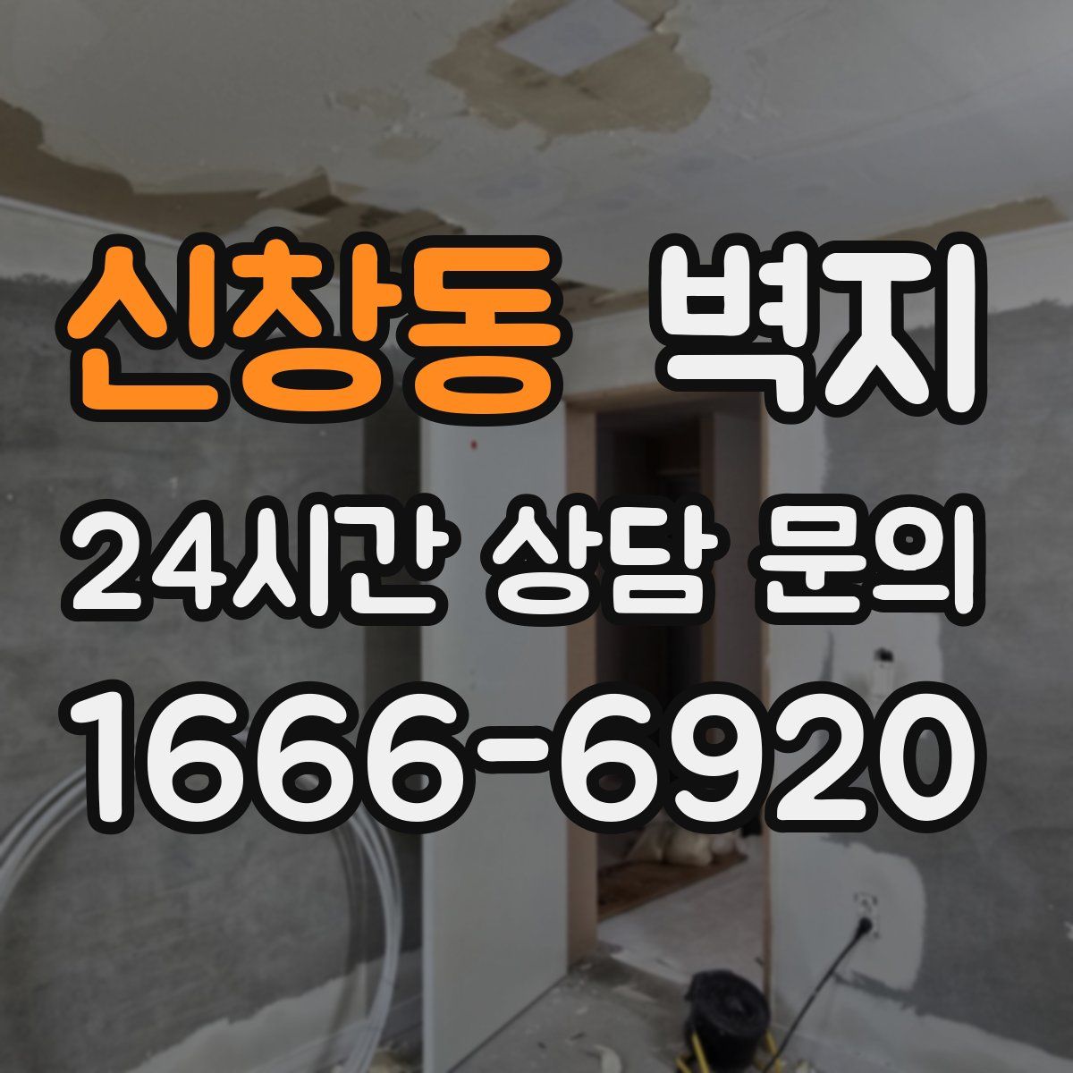 신창동 벽지