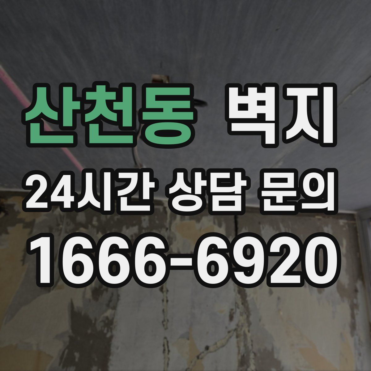 산천동 벽지