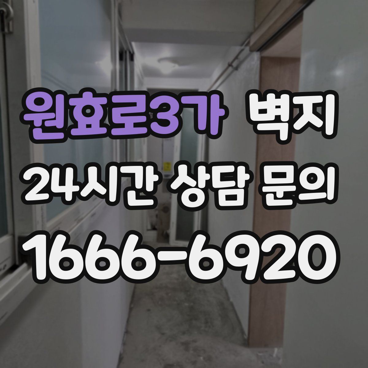 원효로3가 벽지