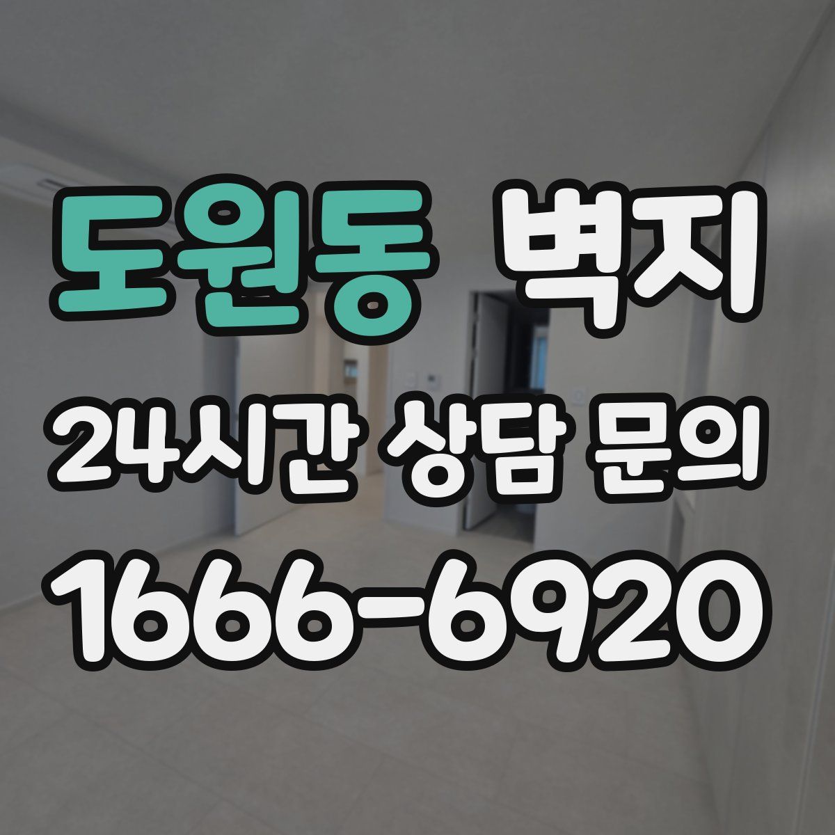 도원동 벽지
