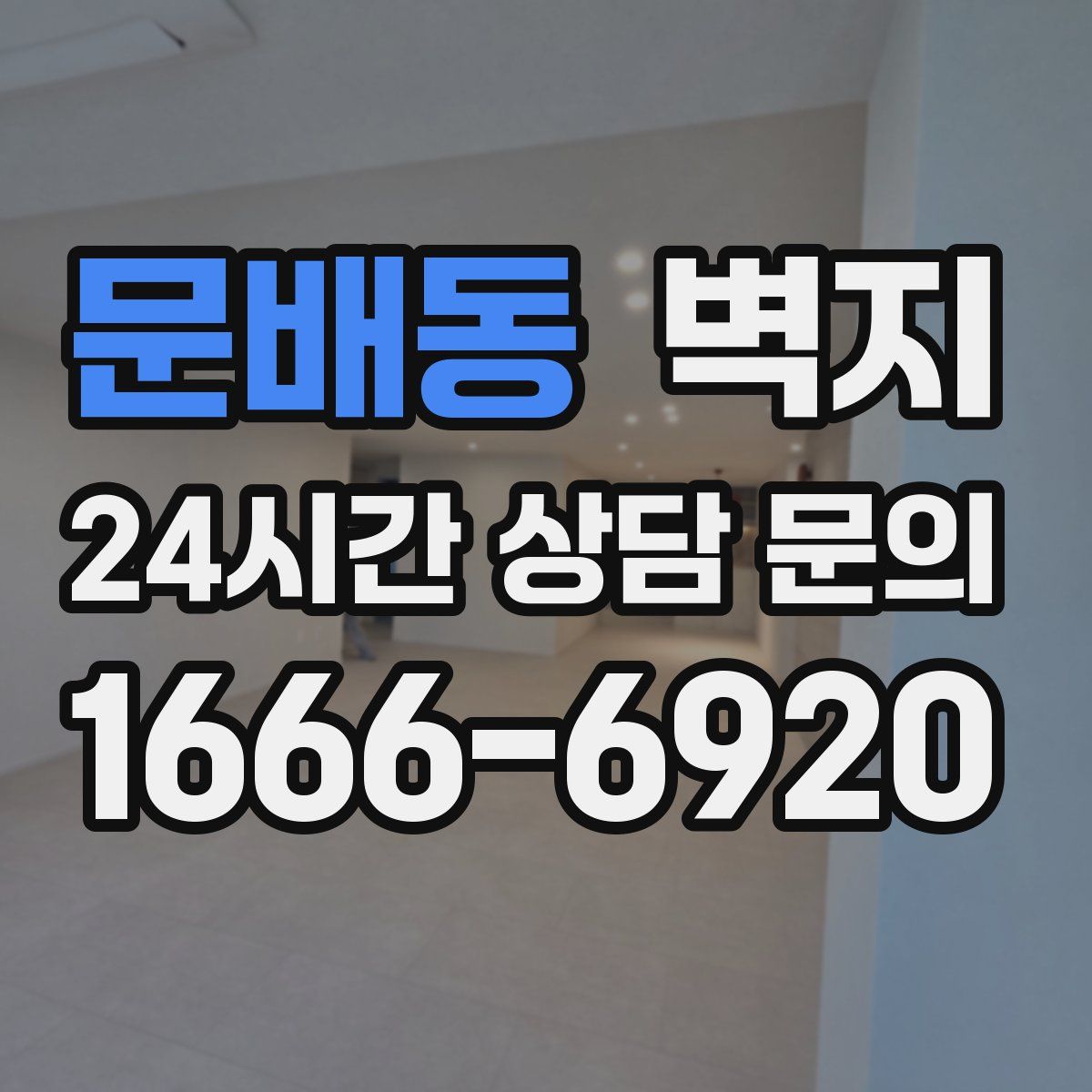 문배동 벽지