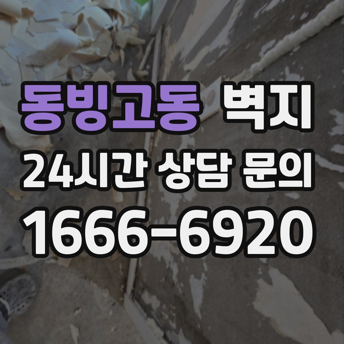 동빙고동 벽지