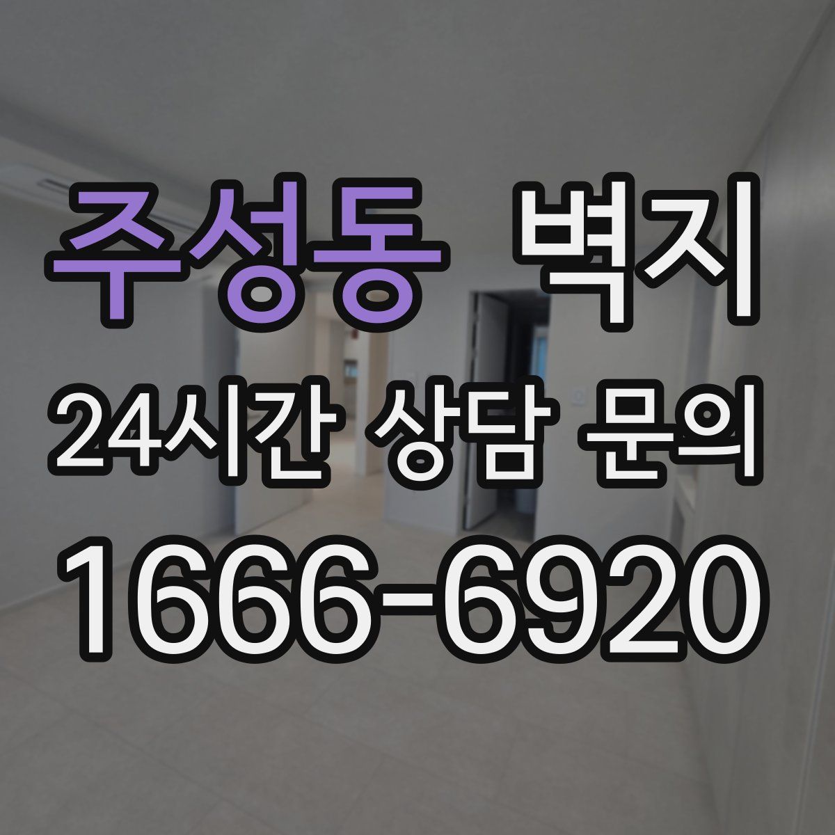 주성동 벽지