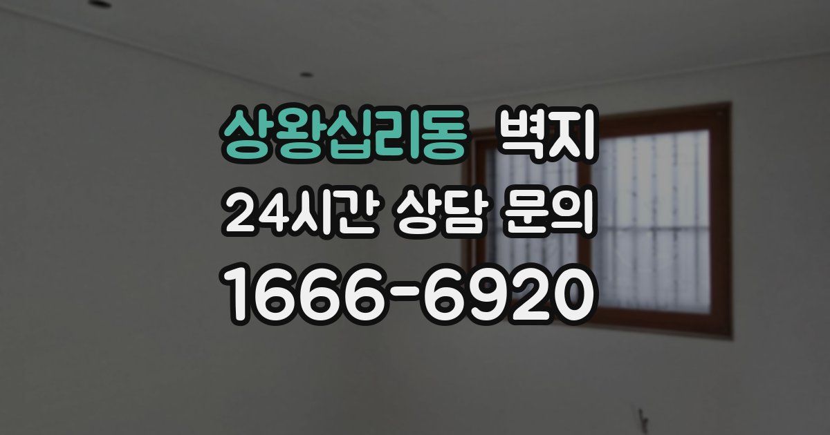 상왕십리동 벽지