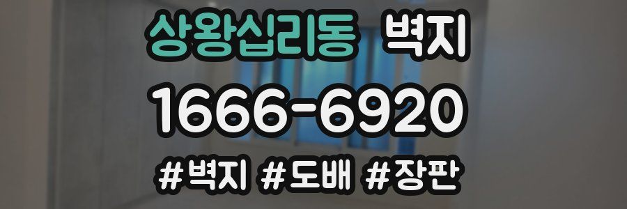 상왕십리동 벽지