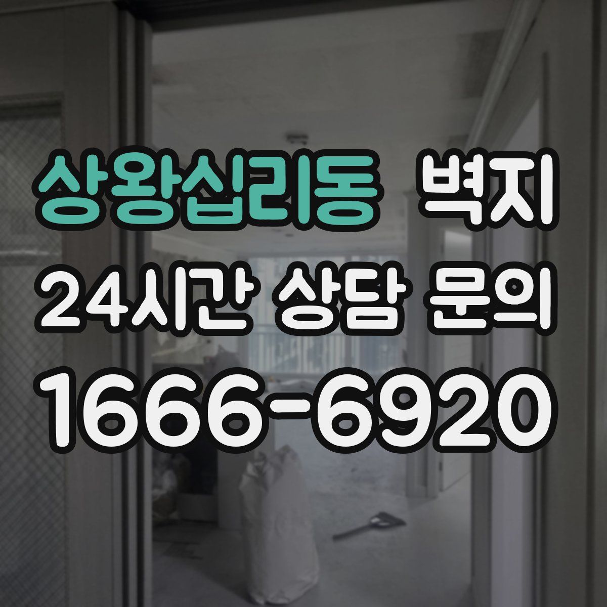 상왕십리동 벽지
