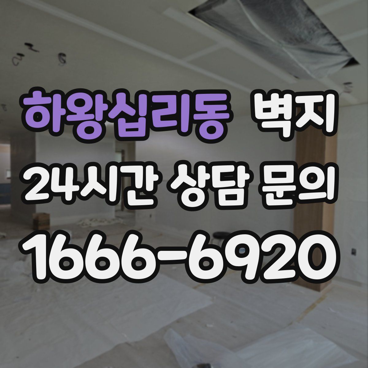 하왕십리동 벽지